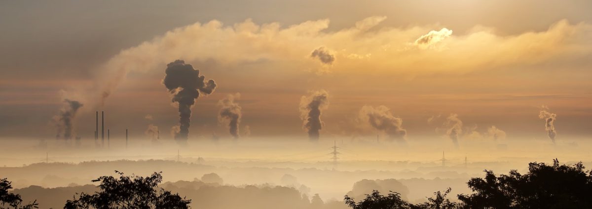 Tree line with the silhouette of an industrial building producing carbon emissions.