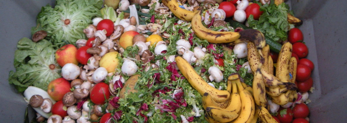 Waste vegetables in a bin.