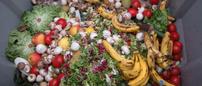 Waste vegetables in a bin.